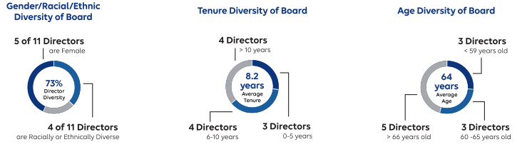 Chart showing the diversity of the Board
